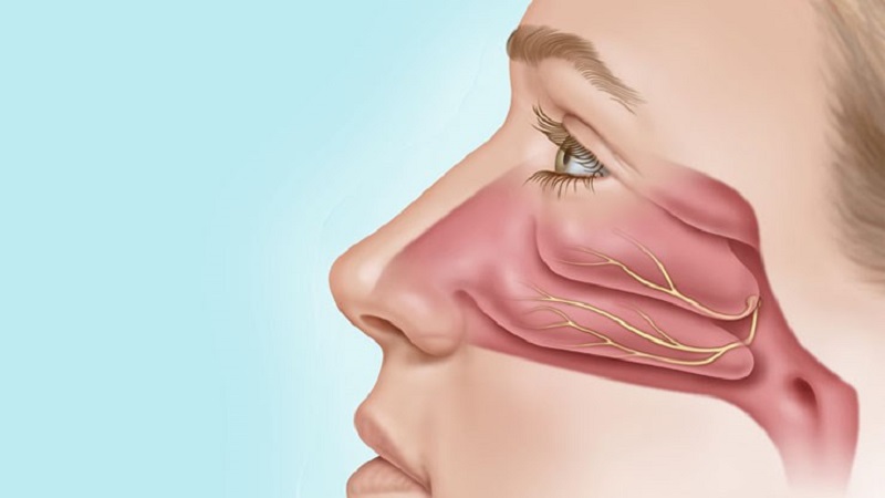 علل و علائم عارضه نکروز بینی | جراح بینی اصفهان | دکتر علی علوی راد